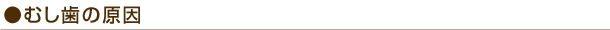 むし歯の原因