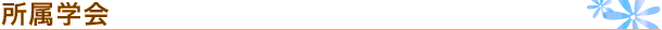 所属学会